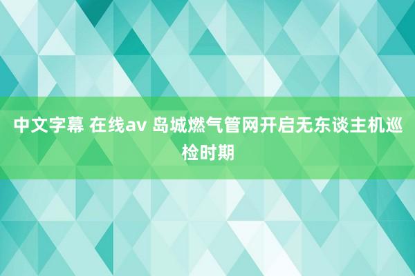 中文字幕 在线av 岛城燃气管网开启无东谈主机巡检时期