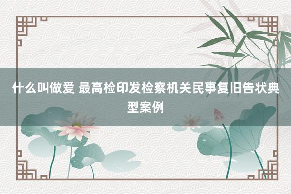 什么叫做爱 最高检印发检察机关民事复旧告状典型案例