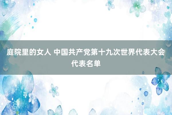 庭院里的女人 中国共产党第十九次世界代表大会代表名单