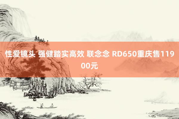 性爱镜头 强健踏实高效 联念念 RD650重庆售11900元