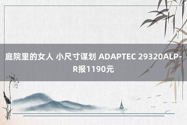 庭院里的女人 小尺寸谋划 ADAPTEC 29320ALP-R报1190元