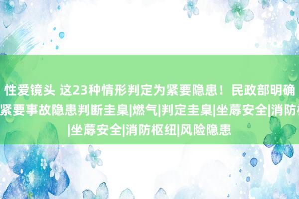 性爱镜头 这23种情形判定为紧要隐患！民政部明确儿童福利机构紧要事故隐患判断圭臬|燃气|判定圭臬|坐蓐安全|消防枢纽|风险隐患