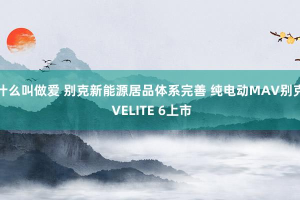 什么叫做爱 别克新能源居品体系完善 纯电动MAV别克 VELITE 6上市