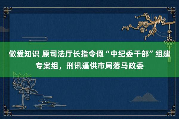 做爱知识 原司法厅长指令假“中纪委干部”组建专案组，刑讯逼供市局落马政委