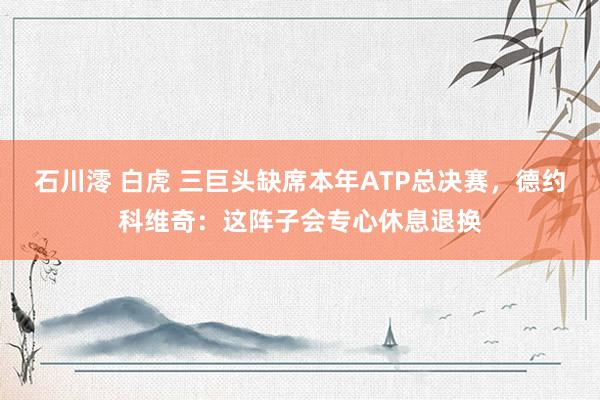 石川澪 白虎 三巨头缺席本年ATP总决赛，德约科维奇：这阵子会专心休息退换