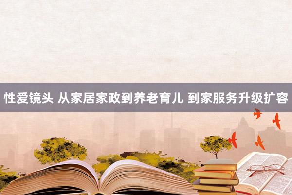 性爱镜头 从家居家政到养老育儿 到家服务升级扩容