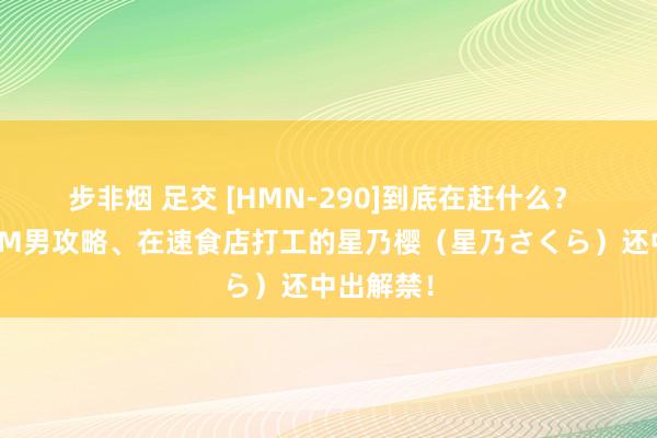 步非烟 足交 [HMN-290]到底在赶什么？ 初痴女加M男攻略、在速食店打工的星乃樱（星乃さくら）还中出解禁！