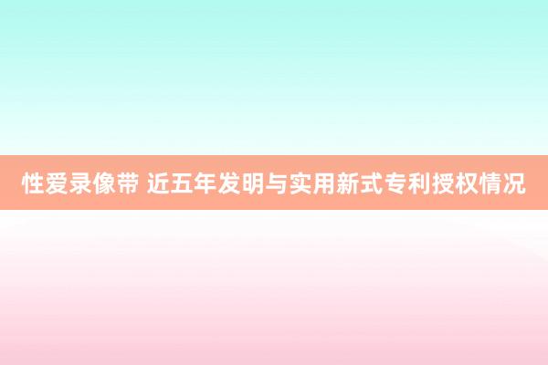 性爱录像带 近五年发明与实用新式专利授权情况