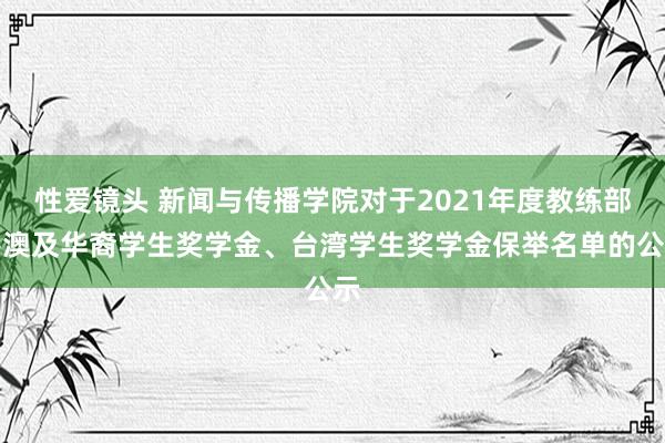 性爱镜头 新闻与传播学院对于2021年度教练部港澳及华裔学生奖学金、台湾学生奖学金保举名单的公示