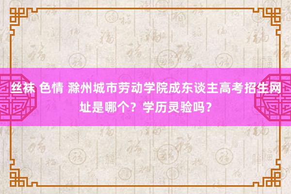 丝袜 色情 滁州城市劳动学院成东谈主高考招生网址是哪个？学历灵验吗？