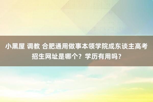 小黑屋 调教 合肥通用做事本领学院成东谈主高考招生网址是哪个？学历有用吗？