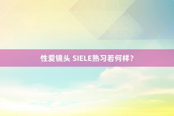 性爱镜头 SIELE熟习若何样？