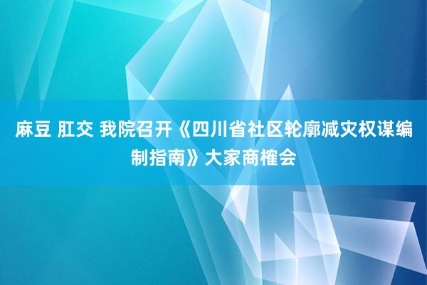 麻豆 肛交 我院召开《四川省社区轮廓减灾权谋编制指南》大家商榷会